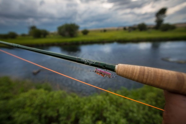 Winston Pure Fly Rods